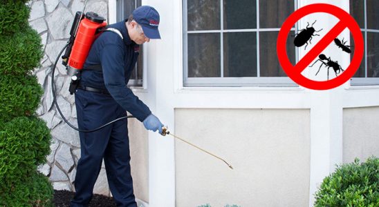 Battalgazi Kene İlaçlama böcek ilaçlama ve haşere kontrolü — ilaclama-tr.com